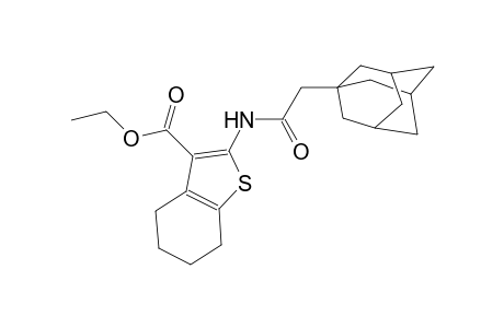 ethyl 2-[(1-adamantylacetyl)amino]-4,5,6,7-tetrahydro-1-benzothiophene-3-carboxylate