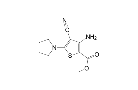 3-amino-4-cyano-5-(1-pyrrolidinyl)-2-thiophenecarboxylic acid, methyl ester