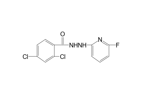 2,4-DICHLOROBENZOIC ACID, 2-(6-FLUORO-2-PYRIDYL)HYDRAZIDE