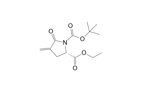 (2S)-4-methylene-5-oxopyrrolidine-1,2-dicarboxylic acid O1-tert-butyl ester O2-ethyl ester