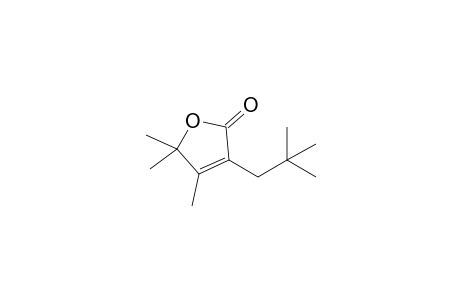 3-(2,2-Dimethylpropyl)-4,5,5-trimethyl-2(5H)-furanone