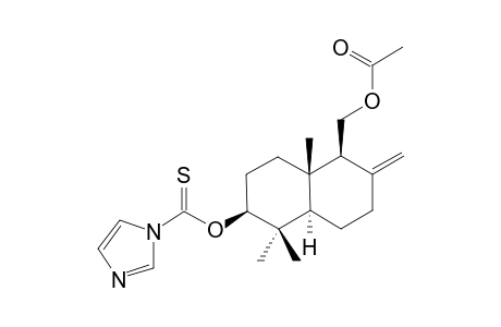 (+)-3.beta.-(1H-Imidazole-1-carbonothioyloxy)albicanyl Acetate