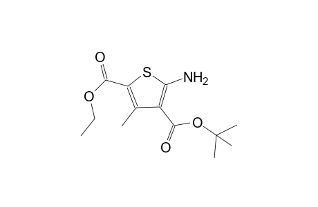 Thiophene-2,4-dicarboxylic acid, 5-amino-3-methyl-, 2-ethyl- 4-(1,1-dimethylethyl) ester