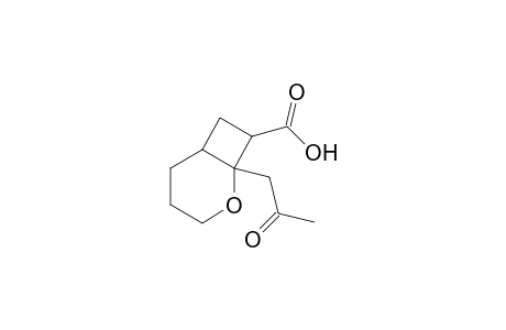 1-Acetonyl-2-oxabicyclo[4.2.0]octane-8-carboxylic Acid