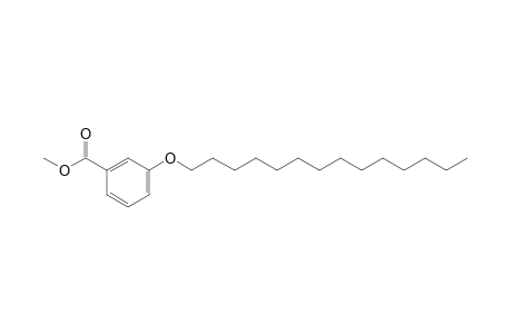 m-(tetradecyloxy)benzoic acid, methyl ester