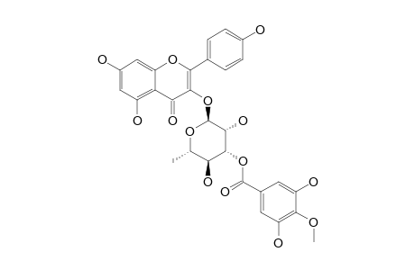 PTEROGYNOSIDE;KAEMPFEROL-3-O-(3''-O-4'''-METHYLGALLATE-ALPHA-L-RHAMNOSIDE)