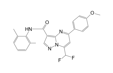 7-(difluoromethyl)-N-(2,6-dimethylphenyl)-5-(4-methoxyphenyl)pyrazolo[1,5-a]pyrimidine-3-carboxamide