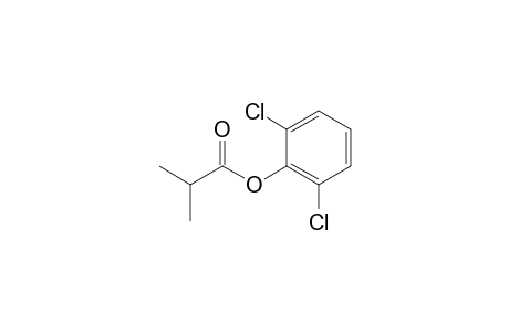 Isobutyric acid, 2,6-dichlorophenyl ester