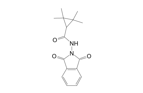 N-(1,3-Dioxo-1,3-dihydro-2H-isoindol-2-yl)-2,2,3,3-tetramethylcyclopropanecarboxamide