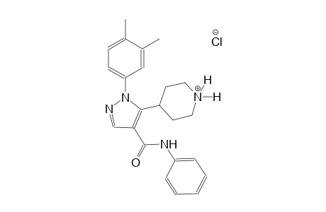 piperidinium, 4-[1-(3,4-dimethylphenyl)-4-[(phenylamino)carbonyl]-1H-pyrazol-5-yl]-, chloride