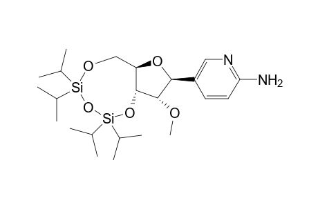 2-Amino-5-[2'-O-methyl-3',5'-(1,1,3,3-tetraisopropyldisiloxane-1,3-diyl)-.alpha.,.beta.-ribofuranosyl]pyridine