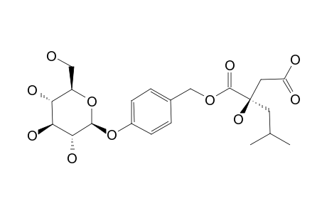 GYMNOSIDE_I;1-(4-BETA-D-GLUCOPYRANOSYLOXYBENZYL)-(2-R)-2-ISOBUTYLMALATE