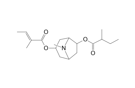 6-(.alpha.-Methylbutyryloxy)-3-tigloyloxytropane