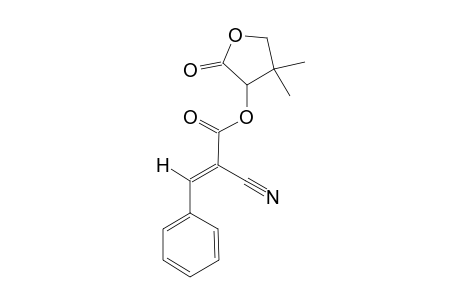 (E)-2-CYANOCINNAMATE-OF-(R)-PANTOLACTONE