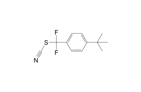 1-tert-butyl-4-(difluoro-thiocyanatomethyl)benzene