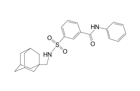 3-(1-adamantylmethylsulfamoyl)-N-phenyl-benzamide