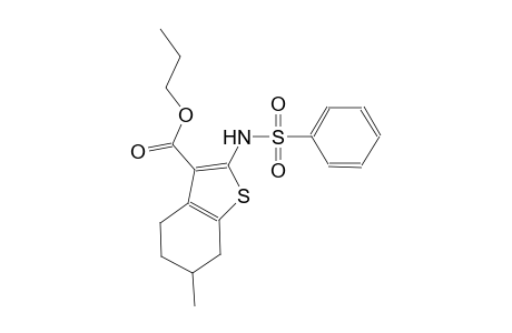 propyl 6-methyl-2-[(phenylsulfonyl)amino]-4,5,6,7-tetrahydro-1-benzothiophene-3-carboxylate