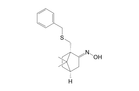 (1S,4R)-1-(Benzylthiomethyl)-7,7-dimethylbicyclo[2.2.1]heptaN-2-one - Oxime