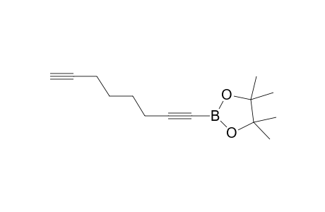 4,4,5,5-Tetramethyl-2-(octa-1,7-diyn-1-yl)-1,3,2-dioxaborolane