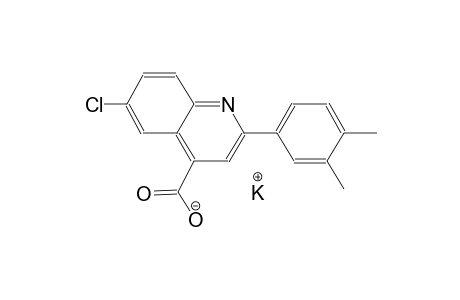 potassium 6-chloro-2-(3,4-dimethylphenyl)-4-quinolinecarboxylate