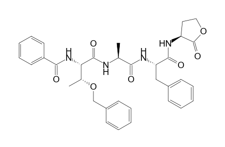 N-(N-benzoyl-(O-benzyl-L-threonyl)-L-alanyl-L-phenylalanyl)-L-homoserine lactone
