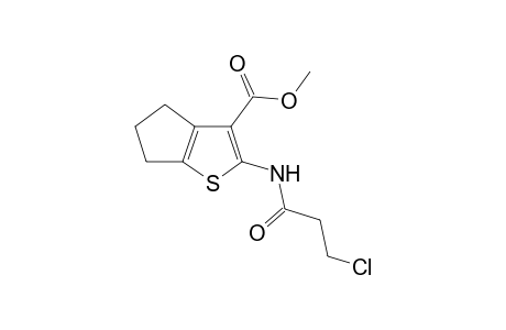 Methyl 2-(3-chloropropanoylamino)-5,6-dihydro-4H-cyclopenta[b]thiophene-3-carboxylate
