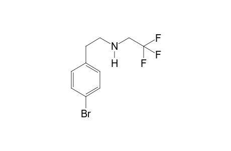 4-Bromophenethylamine TFA (-O,+2H)