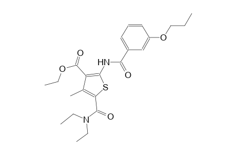 ethyl 5-[(diethylamino)carbonyl]-4-methyl-2-[(3-propoxybenzoyl)amino]-3-thiophenecarboxylate