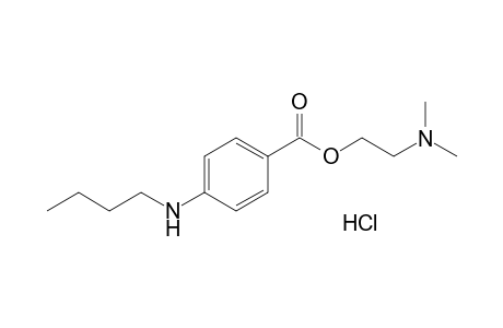 Tetracaine HCl