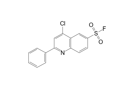4-chloro-2-phenyl-6-quinolinesulfonyl fluoride