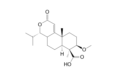 2-Oxo-7.alpha.,10a.beta.-dimethyl-8.beta.-methoxy-4.alpha.-(1-methylethyl)-1,4,5,6,6a.alpha.,7,8,9,10,10a-decahydro-2H-naphtho[2,1-c]ptran-7.beta.-carboxylic acid