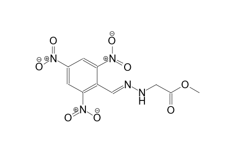 methyl [(2E)-2-(2,4,6-trinitrobenzylidene)hydrazino]acetate
