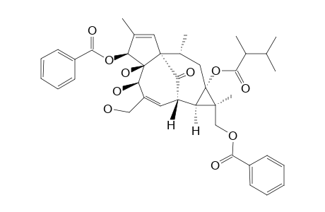 3-O-BENZOYL-17-BENZOYLOXY-13-(2,3-DIMETHYLBUTANOYLOXY)-INGENOL