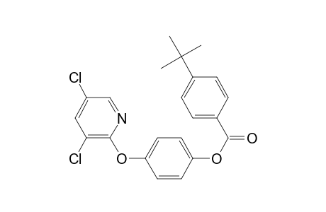 4-tert-Butyl-benzoic acid 4-(3,5-dichloro-pyridin-2-yloxy)-phenyl ester