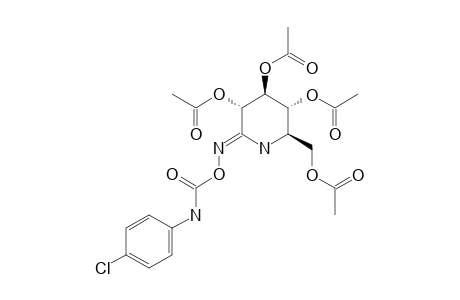 O-(2,3,4,6-TETRA-O-ACETYL-1,5-DIDEOXY-1,5-IMINO-D-GLUCOPYRANOSYLIDENE)-AMINO-N-(4-CHLOROPHENYL)-CARBAMATE