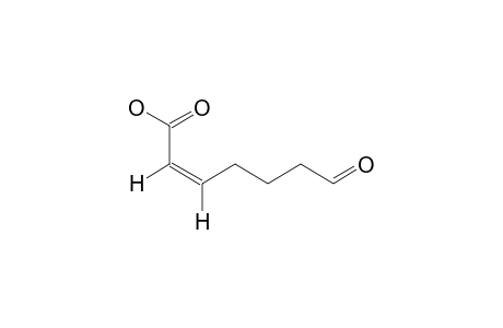 (2Z)-7-OXO-2-HEPTENOIC-ACID