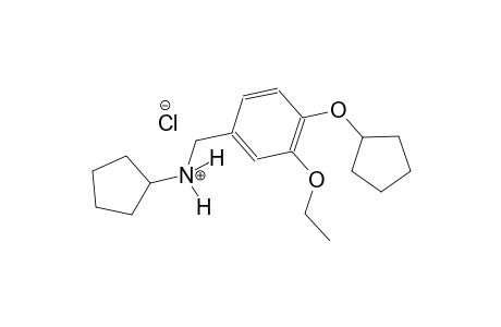 N-[4-(cyclopentyloxy)-3-ethoxybenzyl]cyclopentanaminium chloride