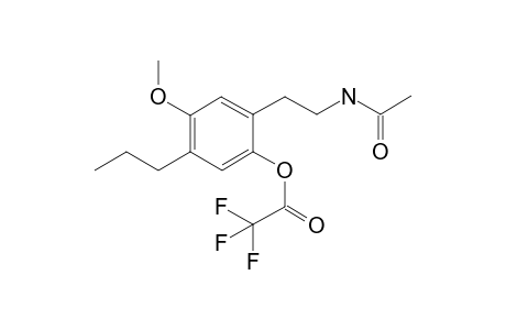 2C-P-M isomer-2 TFA