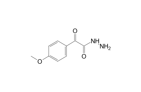 (p-methoxyphenyl)glyoxylic acid, hydrazide
