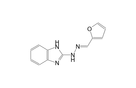 2-furancarboxaldehyde, 1H-benzimidazol-2-ylhydrazone