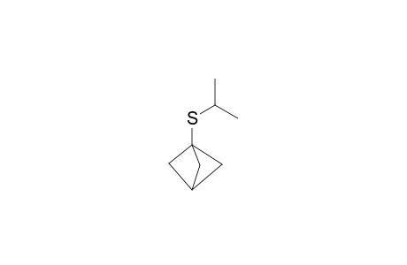 Bicyclo[1.1.1]pent-1-yl(isopropyl)sulfane