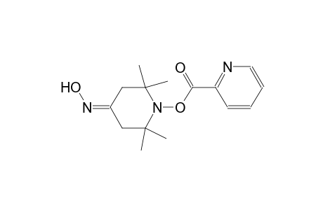 Pyridine-2-carboxylic acid 4-hydroxyimino-2,2,6,6-tetramethyl-piperidin-1-yl ester