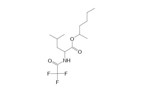 L-Leucine, N-(trifluoroacetyl)-, 1-methylpentyl ester