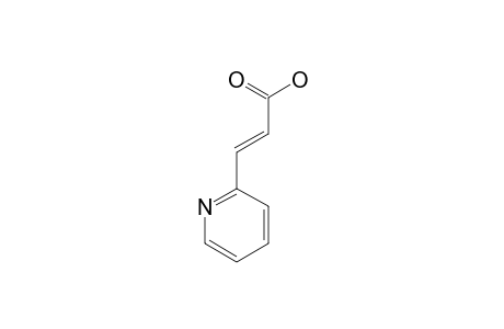(E)-3-(2-pyridyl)acrylic acid