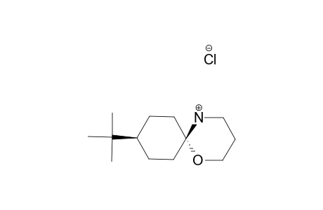 9-TERT.-BUTYL-1,5-OXAZASPIRO-[5.5]-UNDECANE-HYDROCHLORIDE;TRANS-ISOMER