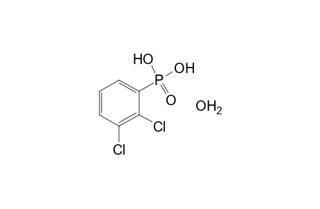 (2,3-DICHLOROPHENYL)PHOSPHONIC ACID, HYDRATE