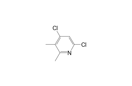 4,6-bis(chloranyl)-2,3-dimethyl-pyridine