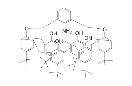 A,D-bridged aminocalix[6]arene