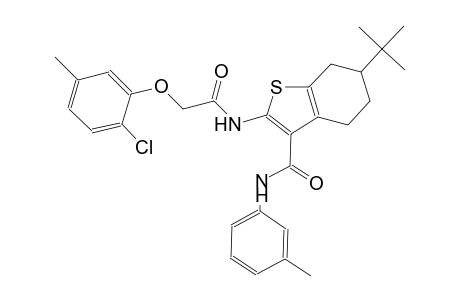 6-tert-butyl-2-{[(2-chloro-5-methylphenoxy)acetyl]amino}-N-(3-methylphenyl)-4,5,6,7-tetrahydro-1-benzothiophene-3-carboxamide