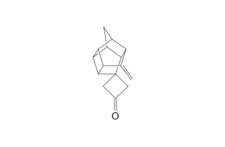 Spiro[cyclobutanone-3,11'-3'-methylenepentacyclo[6.2.1.0(1,2).0(6,8).1(5,9)]undecane]